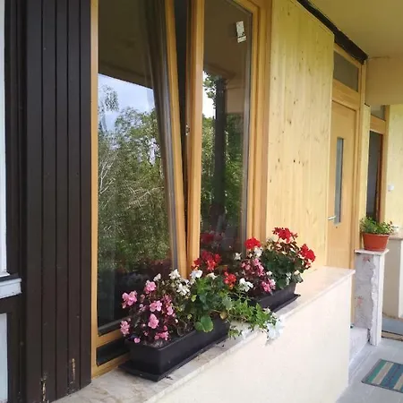 Apartament Aradi Apartman *